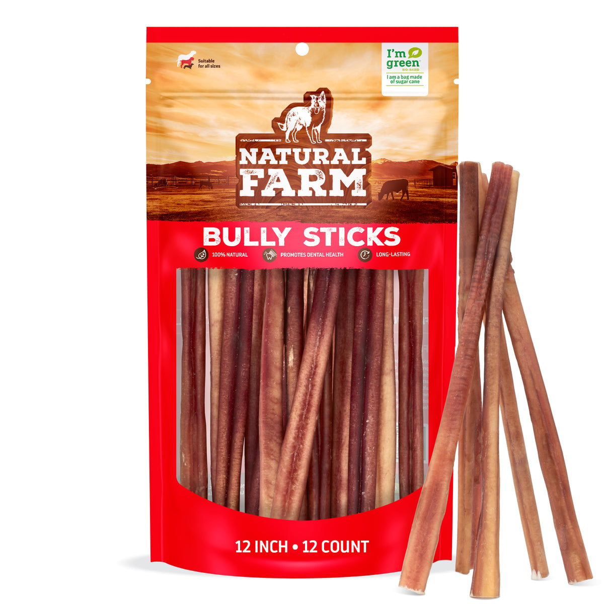 Large Bully Sticks | Long-Lasting Chew
