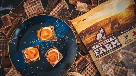 3 Recipes for a Pup-tastically Fun Summer