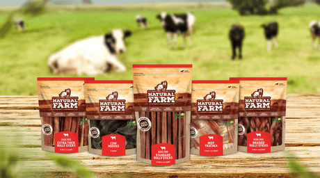 The 7 Best Natural Chews for Dogs