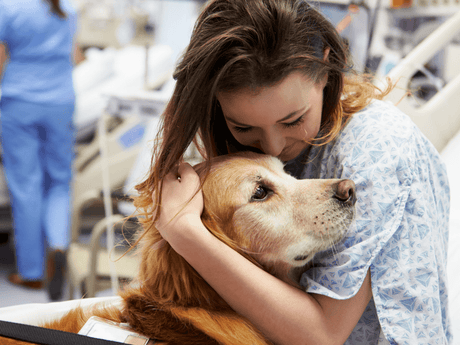 Dogs and Their Effects on Mental Health and Wellness