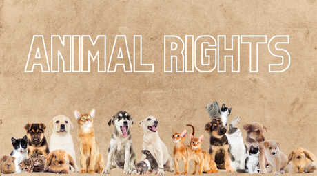 What to Know About Animal Rights Day | How to Give Back for Animal Rights Day — Natural Farm