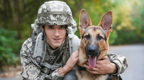 Unsung Heroes: K-9 Veterans Day—Natural Farm