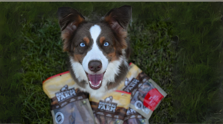 Happy and healthy dog enjoys 2-in-1 dog chews from Natural Farm