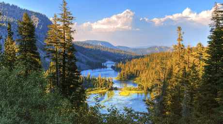 Ways You Can Support Earth Day