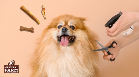 Happy dog enjoys at-home grooming and healthy, all-natural Natural Farm treats which help support better skin, coat, and dental health in dogs