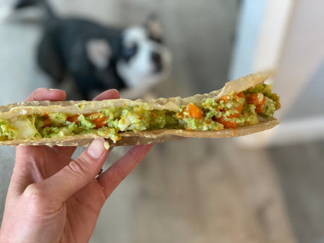 Delicious Dog Chew Recipes for Your Pet’s Thanksgiving