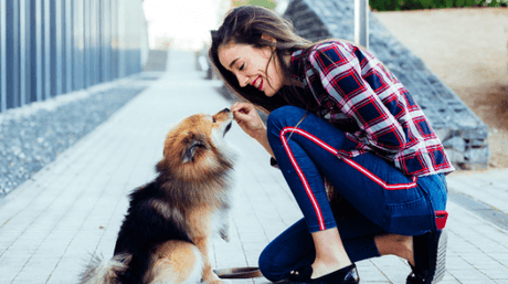 Train Your Dog With Positive Reinforcement
