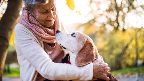 8 Tips for How to Care for Senior Dogs