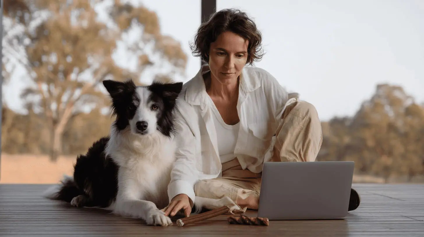 Aussie dog owner comparing bully stick sizes on laptop while Border Collie rests beside natural chews on timber deck with eucalyptus backdrop
