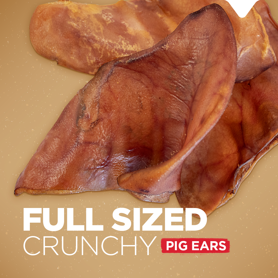 Pig Ear Treats for Dogs