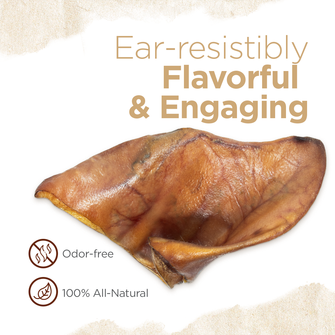 Pig Ear Treats for Dogs