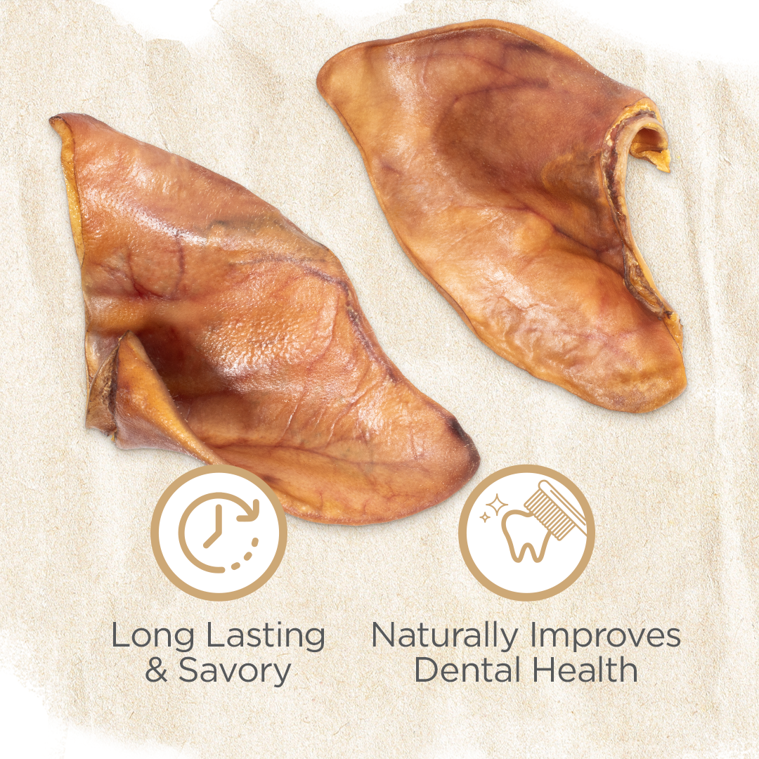 Pig Ear Treats for Dogs