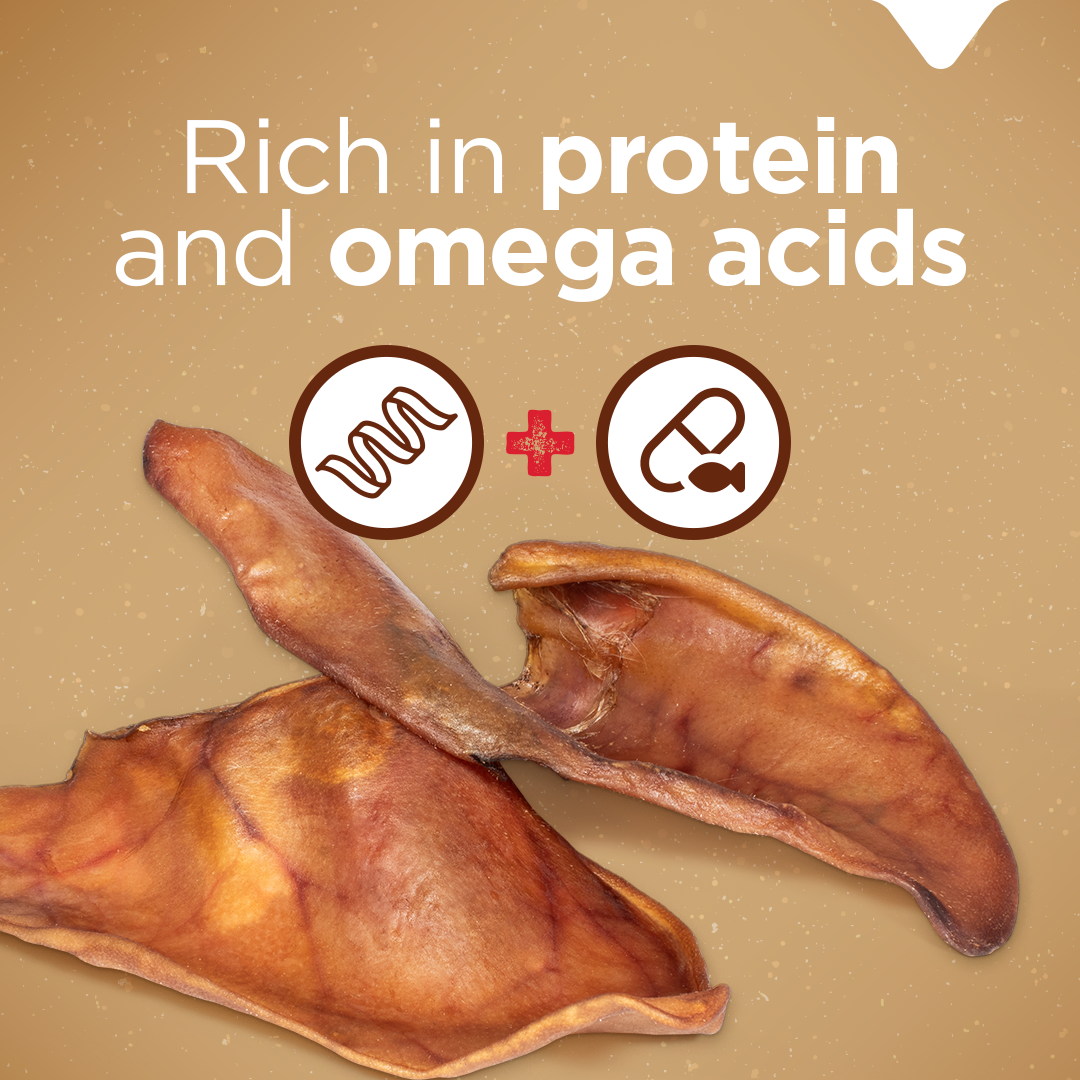 Pig Ear Treats for Dogs