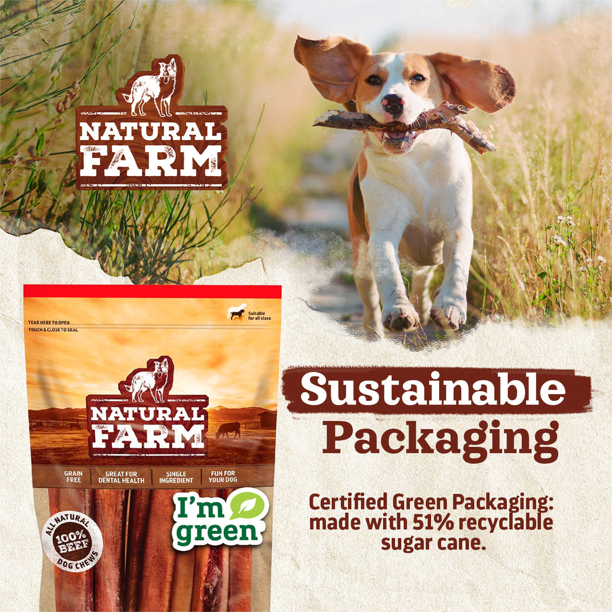 12 Inch Braided Bully Sticks Natural Farm Shop Bully Sticks