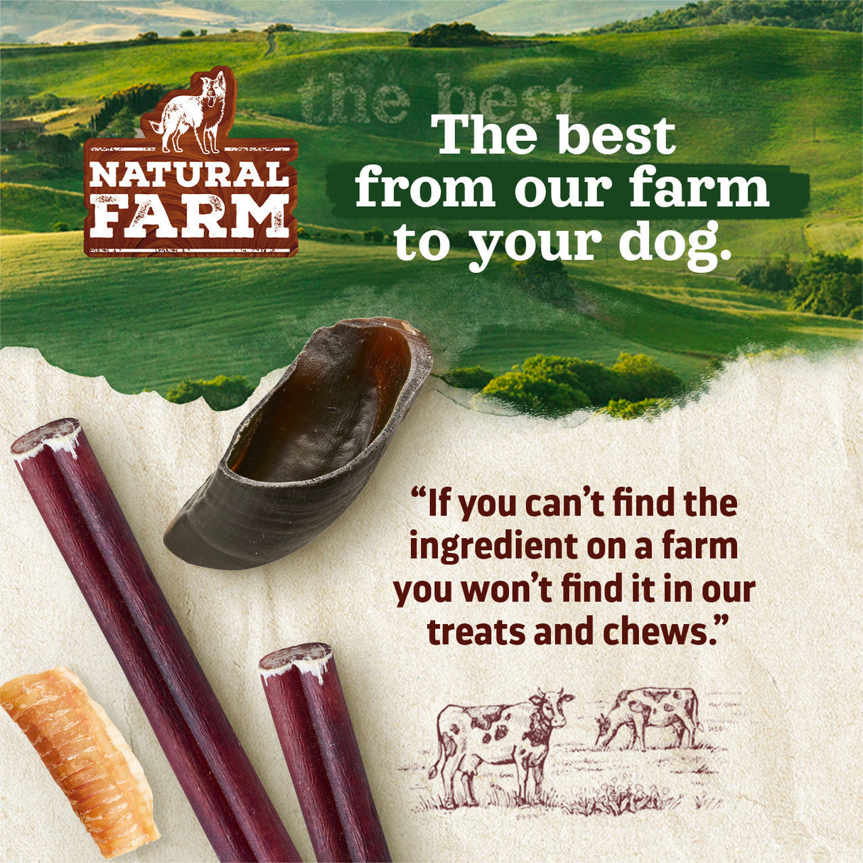 6 Inch Extra Thick Bully Sticks Natural Farm Shop Bully Sticks