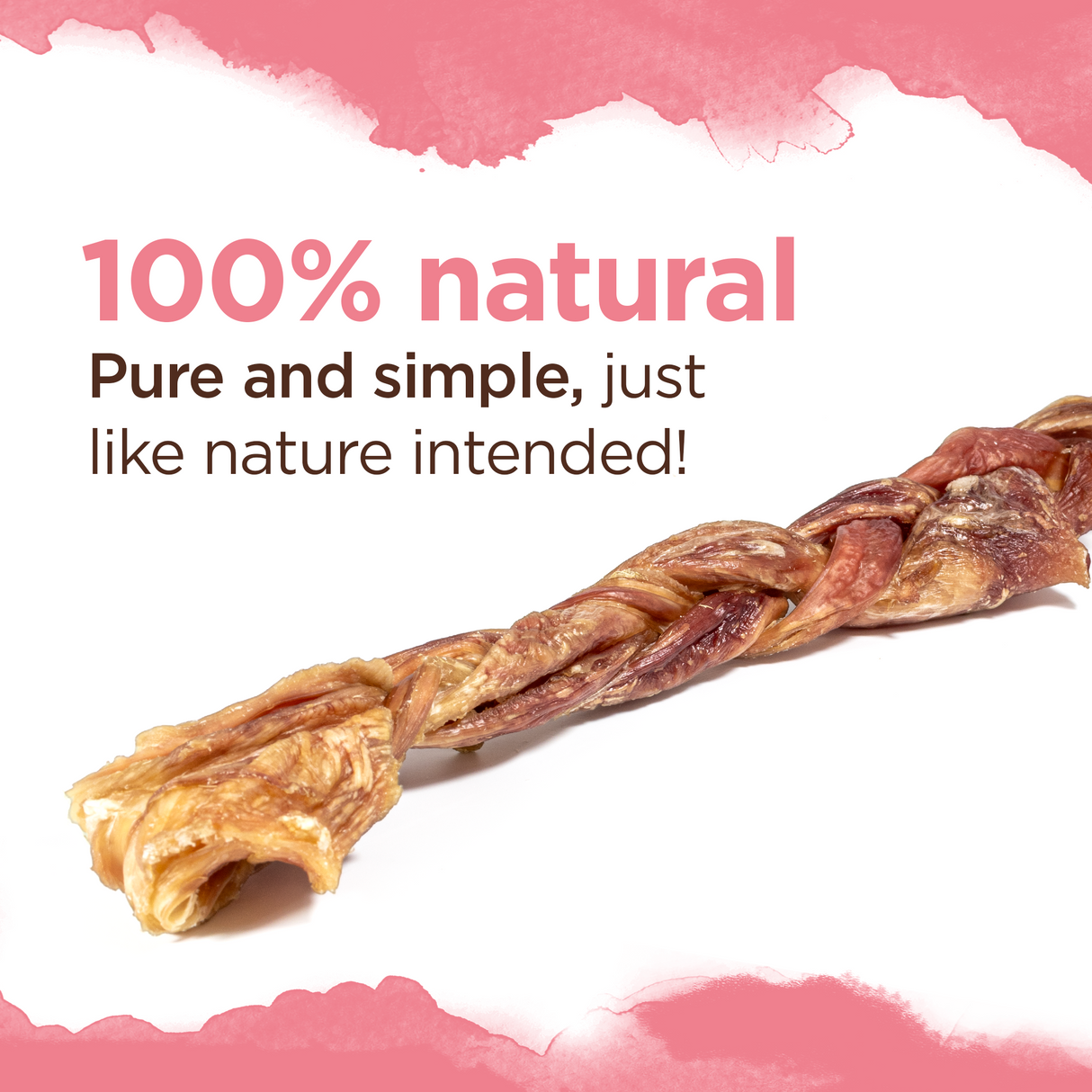 Large - Braided Bladder Bully Sticks