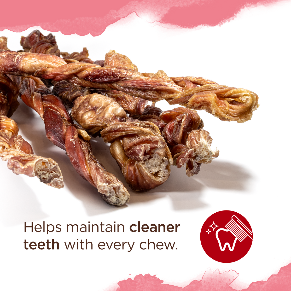 Large - Braided Bladder Bully Sticks