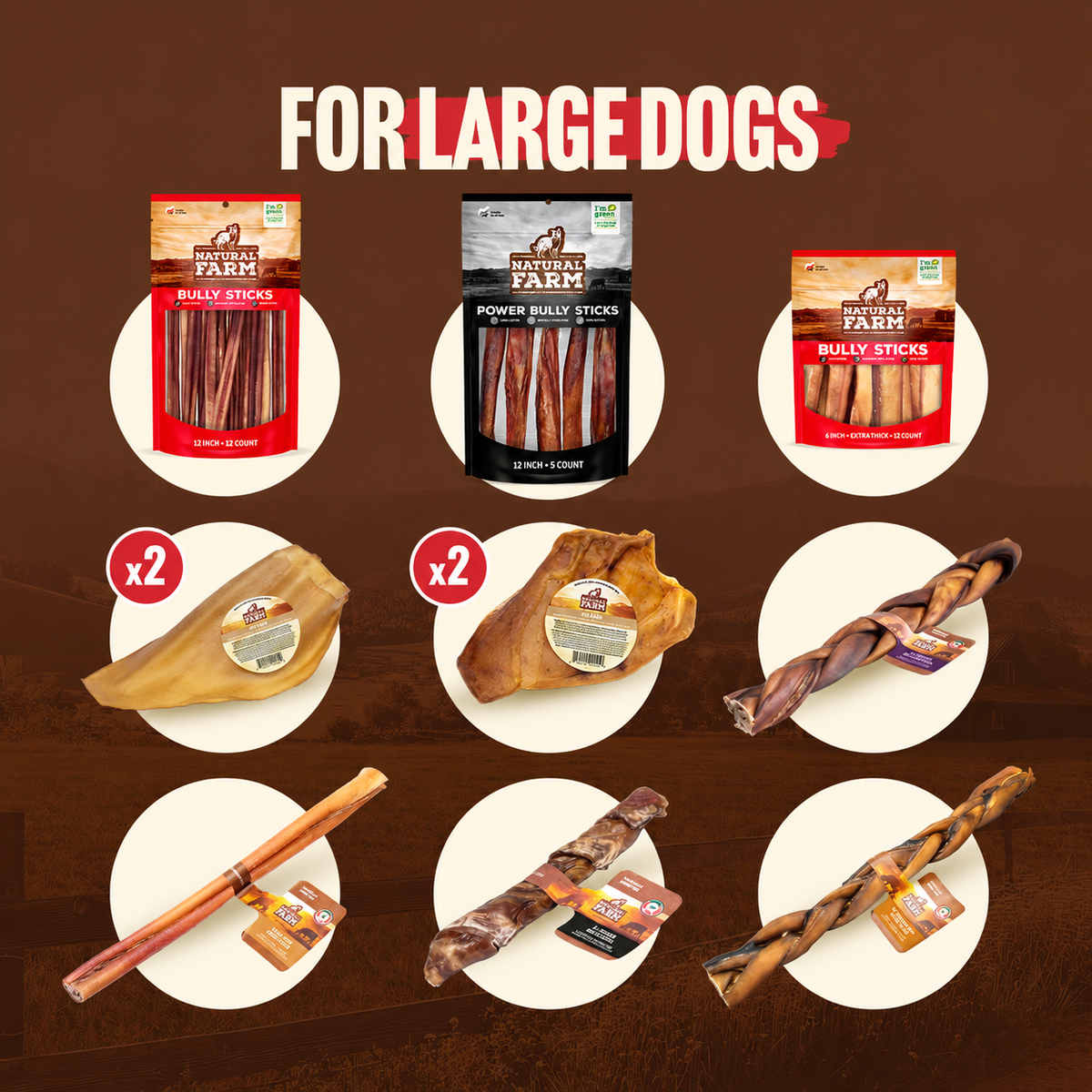 Power Chewer Bundle for Large Dog