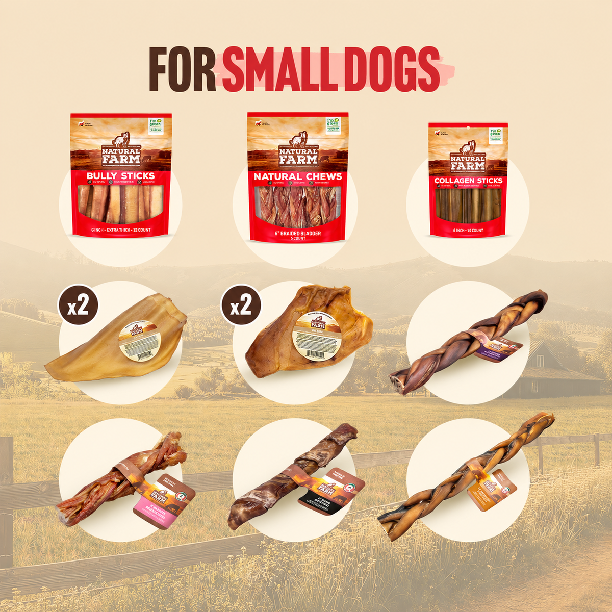 Power Chewer Bundle for Small Dog