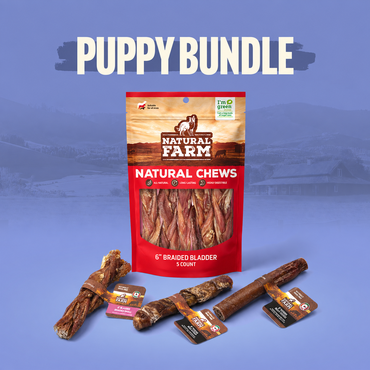 Puppy Bundle
