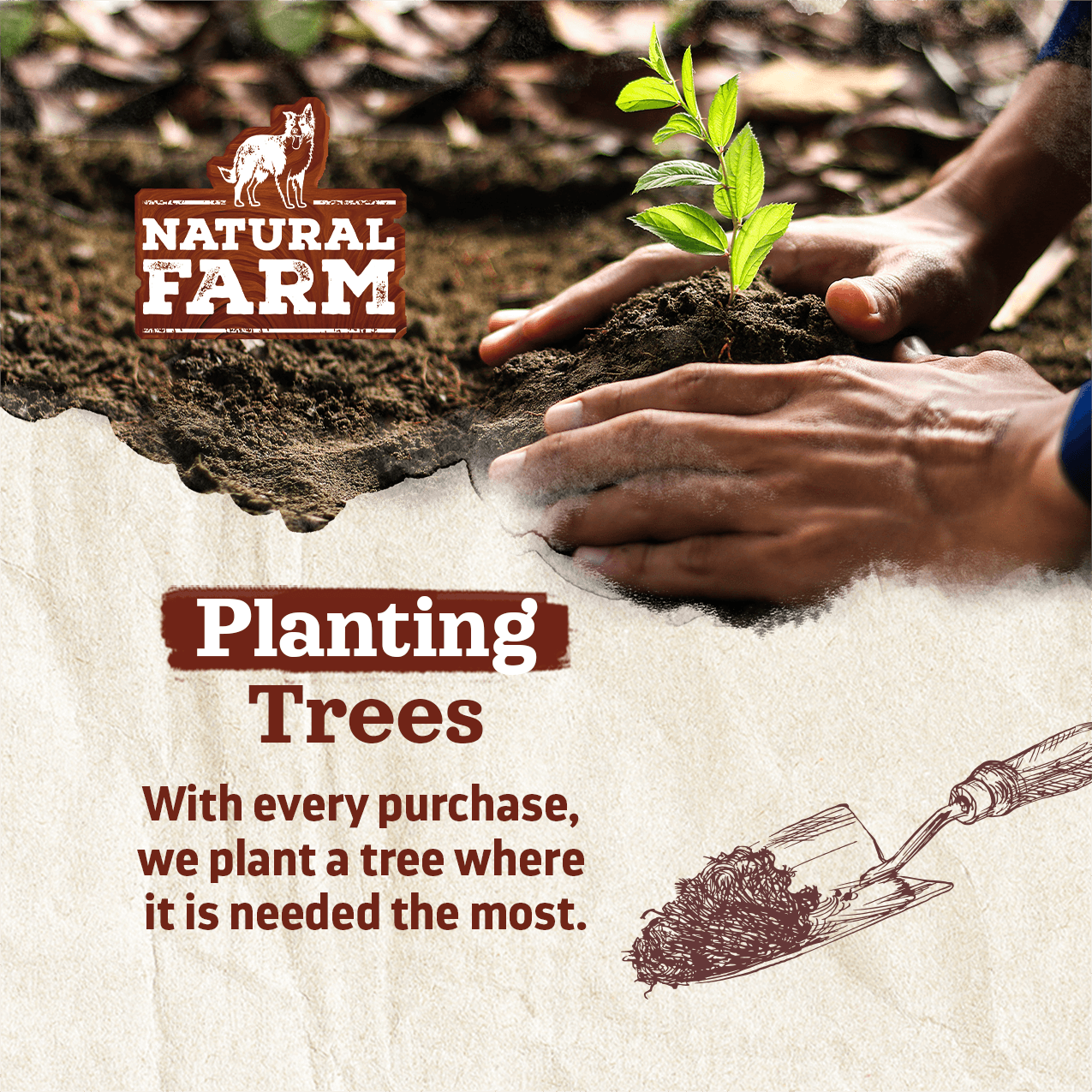 Pig Ear Treats for Dogs Natural Farm Shop Ears