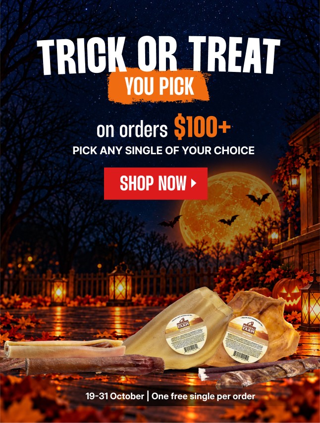 Trick or Treat. You Pick. A free chew of your choice on orders $100+